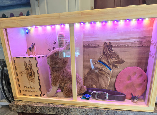 Pet memorial wall mounted display case